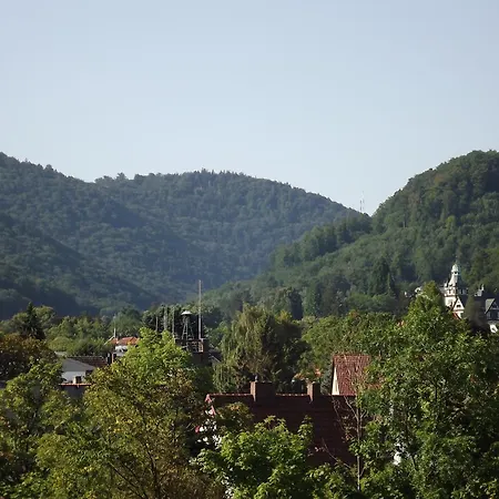 Torfhaus-blick 바트하르추부르크