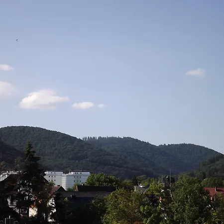 Torfhaus-blick 아파트 *